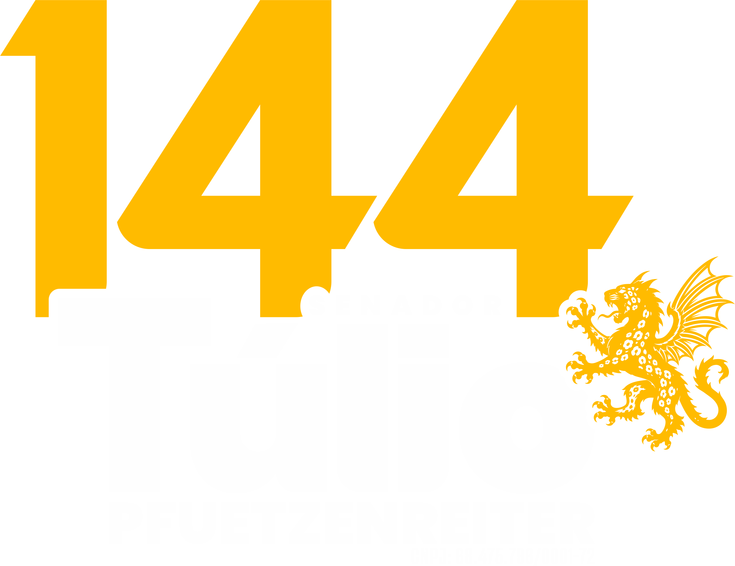 Túlio Pfuetzenreiter, Senador 144