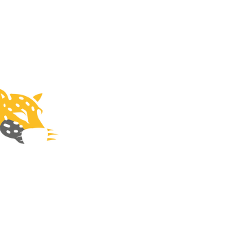 Partido Missão